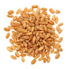 A pile of golden wheat grains with a smooth, elongated shape and slightly textured surface, showcasing their natural color and form