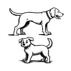 vector illustration of a dog