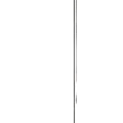 Elegant White Rose Bouquet with Lush Greenery for Any Occasion