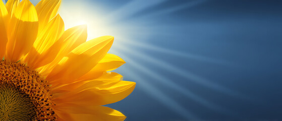 Obraz premium Close-up of a vibrant sunflower basking in bright sunlight with blue sky and sun rays in the background, symbolizing warmth and natural beauty