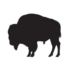 bison silhouette on white background