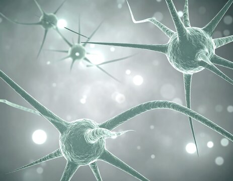 Microscopic Neural Network: Detailed View of Neurons and Synaptic Connections