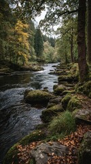 Autumnal river flowing through mossy woodland