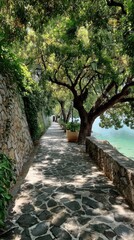 Picturesque pathway by a lake, shaded by trees