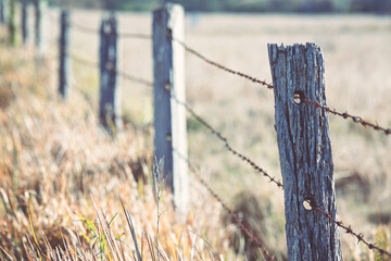 Fototapeta premium rural barbed wire fence, old weathered timber posts, golden sunlight paddock agriculture