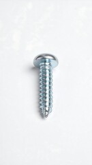 Close-up of a single, metallic screw against a plain white background