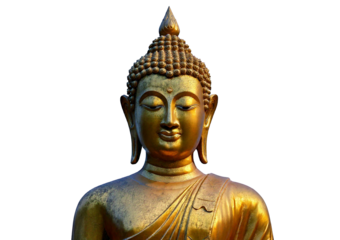 Buddha statue isolated on transparent or white background