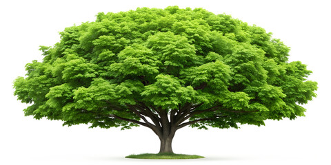 Digital wrist blood pressure monitor with clear lcd display showing vital health readings