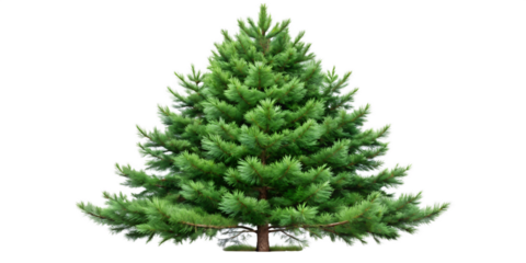 Close up view of a professional medical stethoscope with a silver chestpiece and black tubing against a dark background