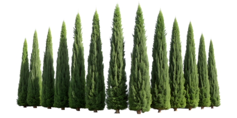 Silver electric car charging at a modern charging station with a black background