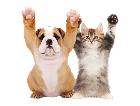 Cute Puppy and Kitten with Paws Raised, Cheering Together isolated on a transparent background
