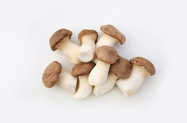 Orinji Mushrooms isolated on white studio background.
