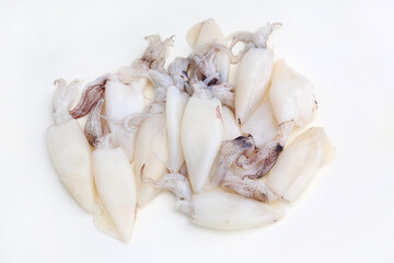 Fresh squids isolated on white studio background.