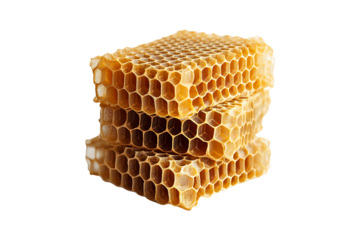 Honeycomb Beeswax Structure Isolated on a Transparent Background