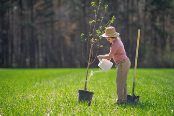 Kid cultivating tree with shovel. Child planting tree on backyard. Child plant tree in spring...