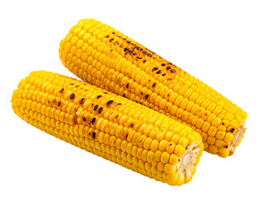Grilled corn on the cob isolated on transparent background