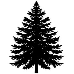 Obraz premium Black Silhouette of a Tall Pine Tree on a White Background evergreen conifer