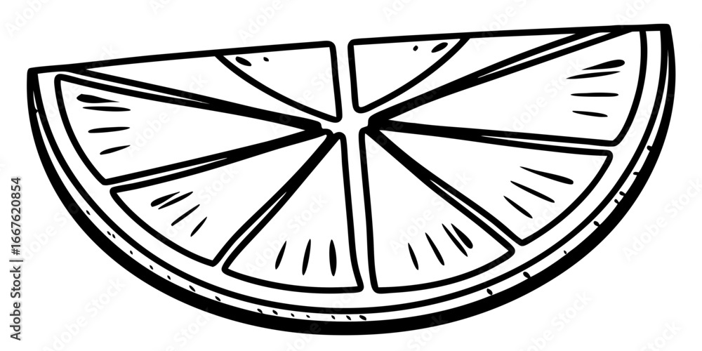 Poster outlined citrus slice with segments and rind detail in black and white illustration style design