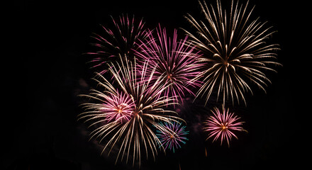 Colorful fireworks exploding against dark night sky in celebration