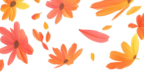 Vibrant Orange and Yellow Flowers and Petals Scattered on Black Background floral bloom isolated on a transparent background