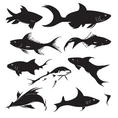 Fototapeta premium set of catfish