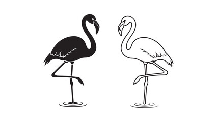 Flamingo pair in black and white with transparent background