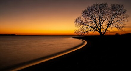 Striking solitary tree silhouette graces a tranquil lake shore during a vibrant golden hour sunset.