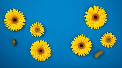 Vibrant yellow gerbera daisies arranged artistically against a deep blue background, minimalist floral concept.