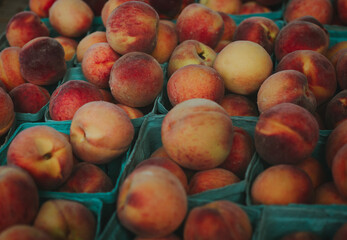 Ripe peaches are piled in blue cartons, showcasing their warm, sun-kissed hue. The fruit's fuzzy texture adds a tactile quality to the composition, evoking the feel of a bustling farmers' market. 