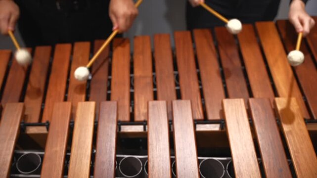 Musicians hands close up percussionists duet playing marimba xylophone concert top view