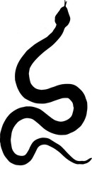 snake on a black background