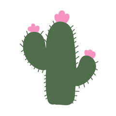 cactus vector illustration