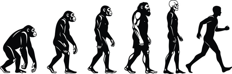 Evolution of humans from primates to upright posture, black silhouettes, walking progression, body structure change, historical development theme