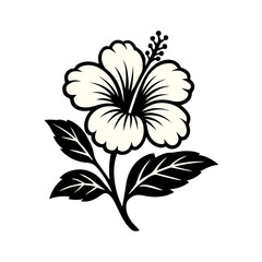 Hibiscus Flower Graphic