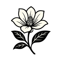 Magnolia Flower Illustration