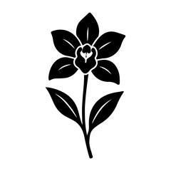 Orchid Flower Design