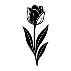 Tulip Flower Illustration