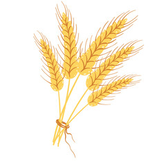 Fototapeta premium Wheat Sheaf. Bundle of Wheat Ears. Vector Illustration