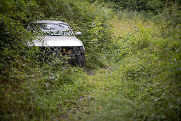 old, broken car illegally parked in nature, slowly overgrown by plants