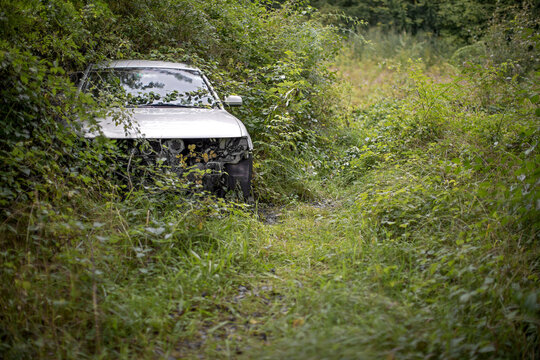 old, broken car illegally parked in nature, slowly overgrown by plants