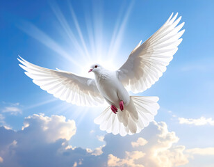 Fototapeta premium A pure white dove soars through a heavenly blue sky with sunbeams, a powerful symbol of peace, spirituality, and hope