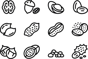 Vector illustration of various nuts including walnuts peanuts almonds and hazelnuts for healthy eating