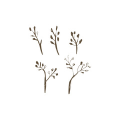 Hand drawn botanical twigs with berries perfect for patterns fabric design stationery packaging and eco branding
