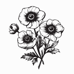Anemone flowers blooming in summer garden floral vector image on white background