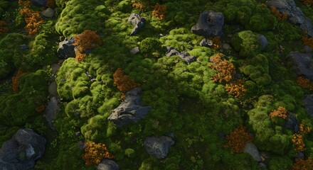 A detailed overhead view of a mossy rockstrewn ground Orange plants speckle the green moss