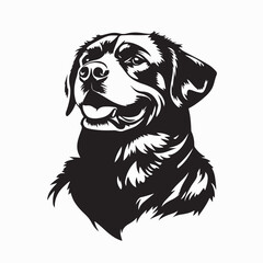 Rottweiler dog portrait black and white vector illustration head face design