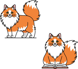 Obraz premium Orange white fluffy cat standing and sitting with book vector