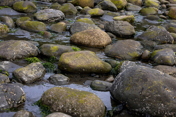 Rocks on a beach in Homer