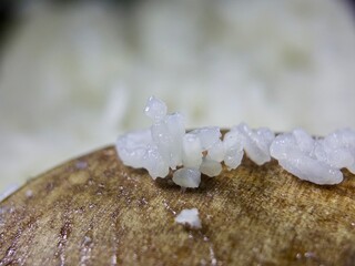 macro shot of steamed white rice, capturing the soft texture and subtle reflections on each...
