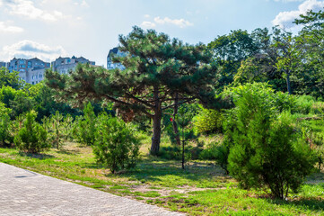 The park offers a peaceful escape, with lush trees and a sunny sky above the green grass.